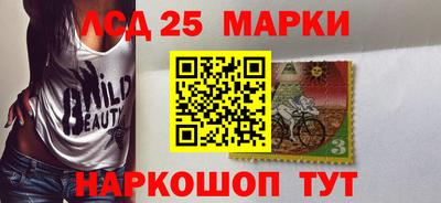 дурь Сланцы