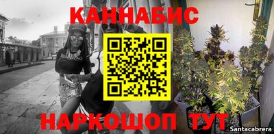 дурь Сланцы