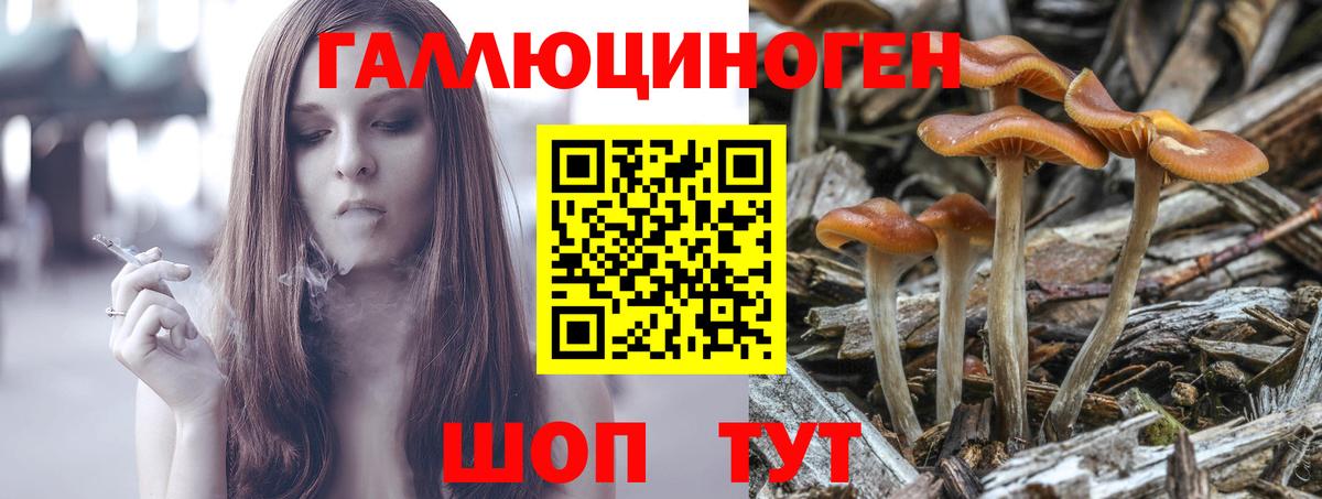 Псилоцибиновые грибы ЛСД  Вход с VPN  Псилоцибиновые грибы мицелий  Новосибирск 